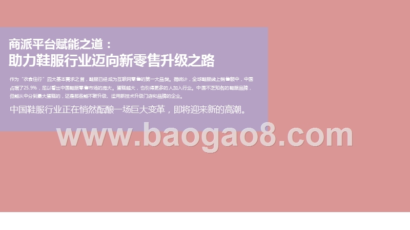 2020-2021商派鞋服行业新零售升级研究报告.pptx_第2页