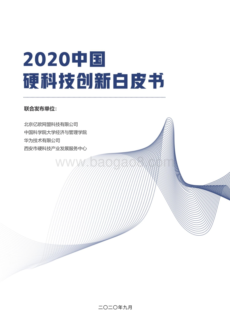 2020中国硬科技创新白皮书.pdf_第1页
