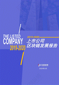 2019-2020上市公司区块链发展报告.pdf