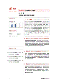 2019年中国游泳用品行业概览.pdf