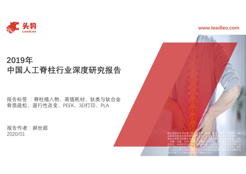 2019中国人工脊柱行业深度研究报告.pdf_第1页