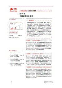 2019年中国面膜行业概览.pdf