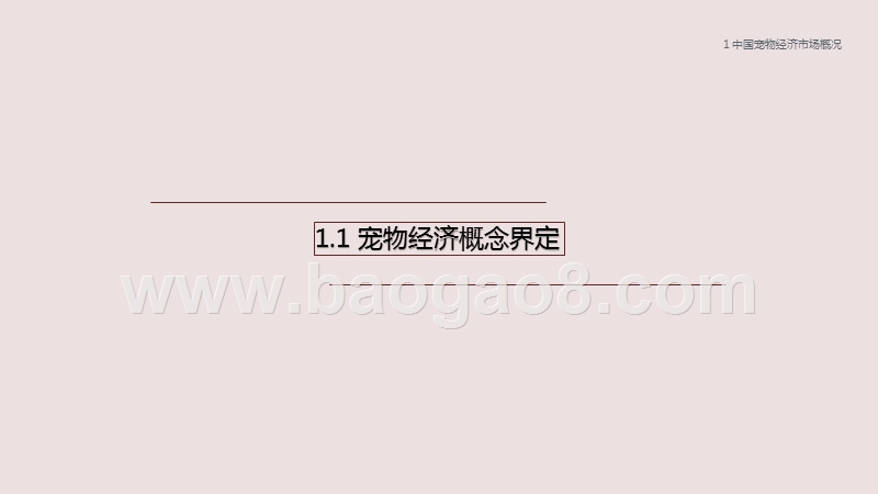 2020-2021中国宠物经济创新发展研究报告.pptx_第4页
