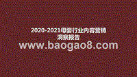 2020-2021母婴行业内容营销洞察报告.pptx