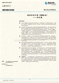 2020版城投非标手册：西北篇.pdf