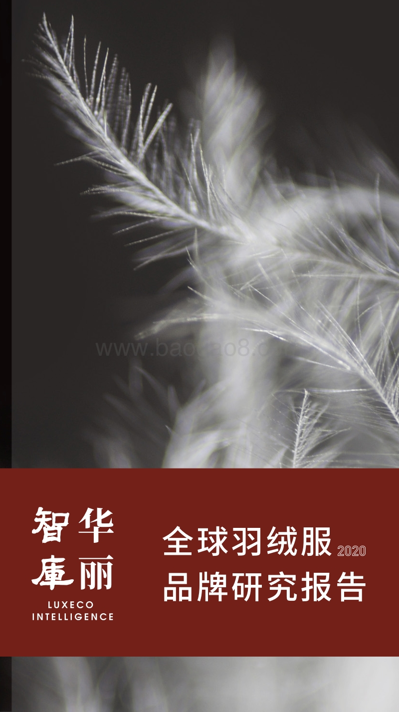 2020全球羽绒服品牌研究报告.pdf_第1页