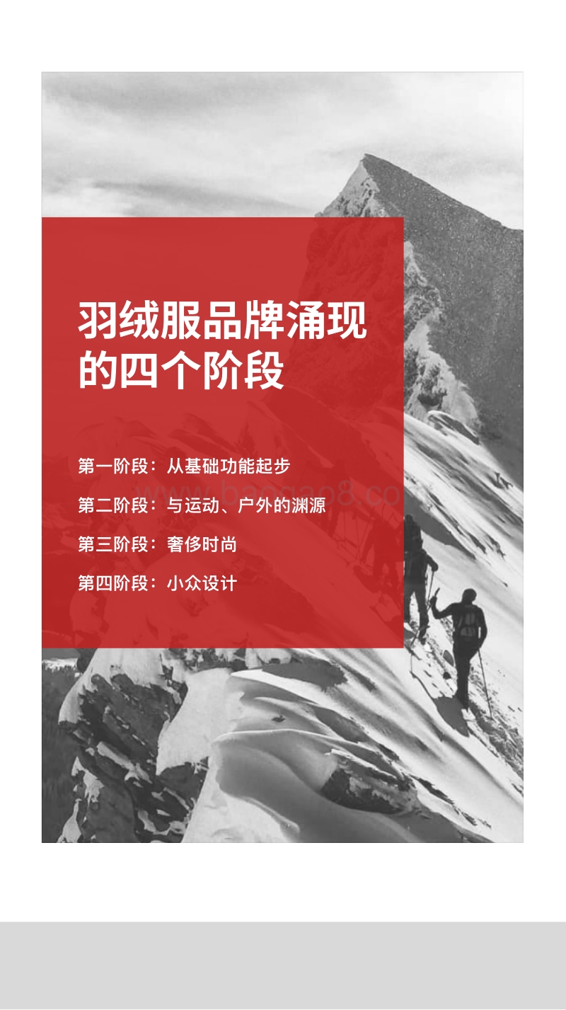 2020全球羽绒服品牌研究报告.pdf_第3页