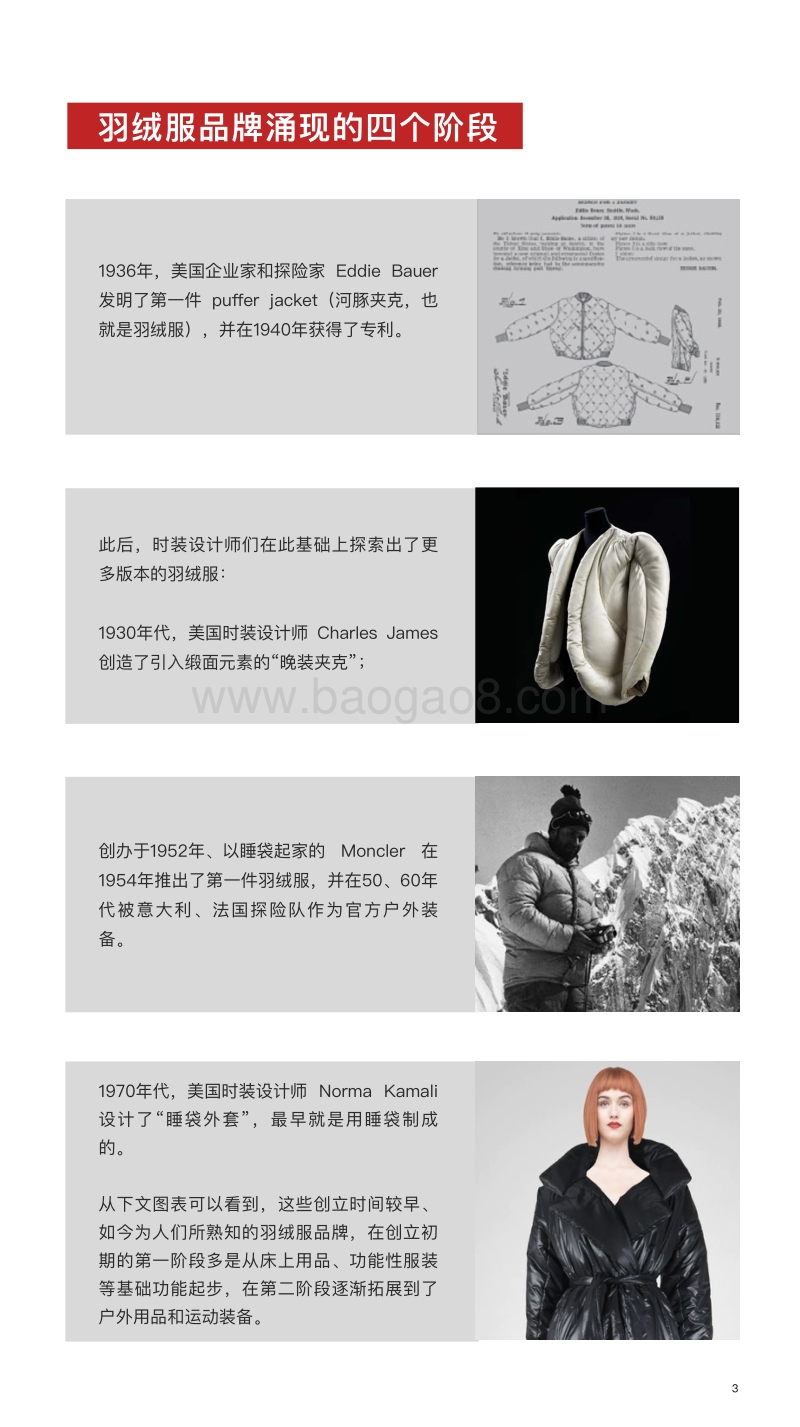 2020全球羽绒服品牌研究报告.pdf_第4页