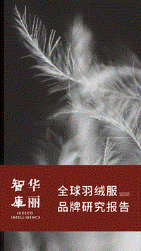 2020全球羽绒服品牌研究报告.pdf