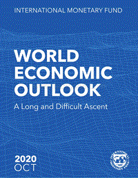 2020世界经济展望（英文版）.pdf
