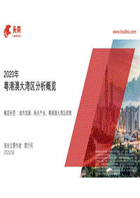 2020年粤港澳大湾区分析概览.pdf