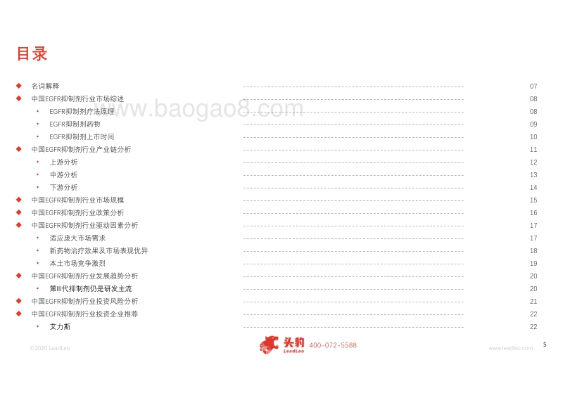 2020年中国EGFR抑制剂行业概览.pdf_第5页