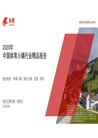 2020年中国体育小镇行业精品报告.pdf