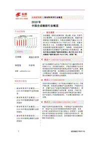 2019年中国合成橡胶行业概览.pdf