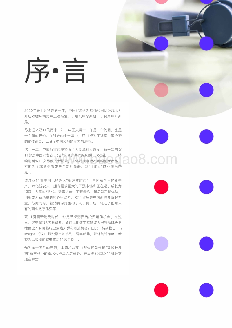 双11投资指南：品牌消费者投资策略洞察.pdf_第5页