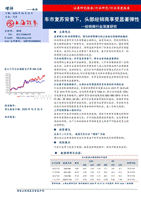 经销商行业深度研究：车市复苏背景下，头部经销商享受显著弹性.pdf