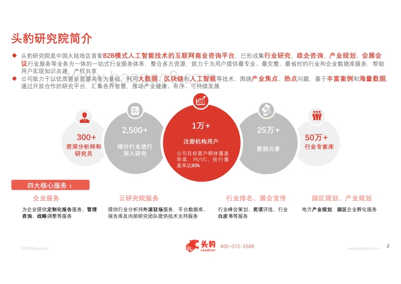2019年中国锡矿石行业概览.pdf_第2页