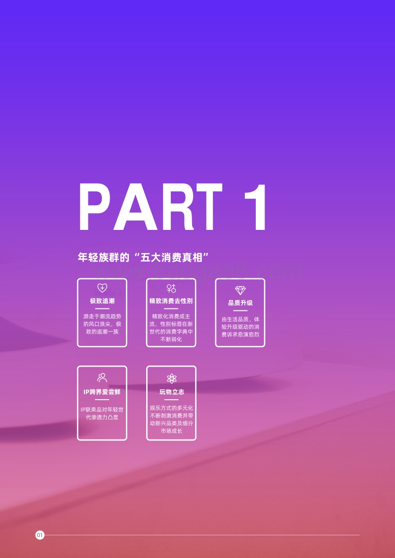 双11投资指南：年轻族群消费真相与击穿策略洞察.pdf_第5页
