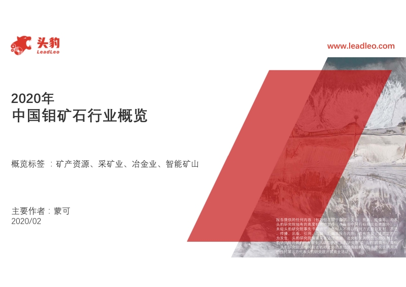 2020年中国钼矿石行业概览.pdf_第1页
