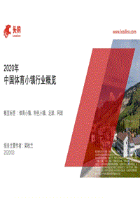 2020年中国体育小镇行业概览.pdf