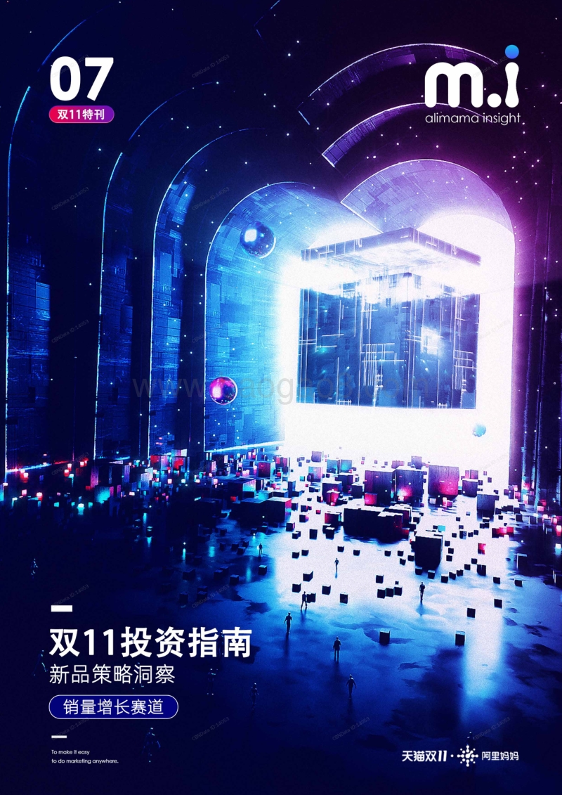 双11投资指南：新品策略洞察.pdf_第1页