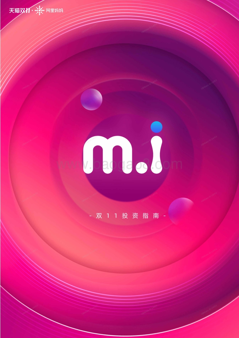 双11投资指南：新品策略洞察.pdf_第2页