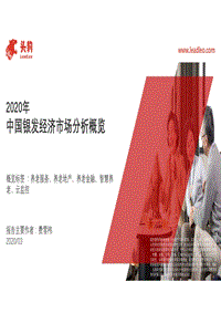 2020年中国银发经济市场分析概览.pdf