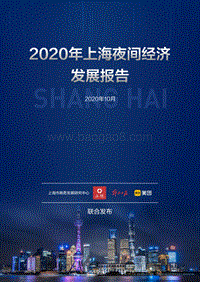 2020年上海夜间经济发展报告.pdf