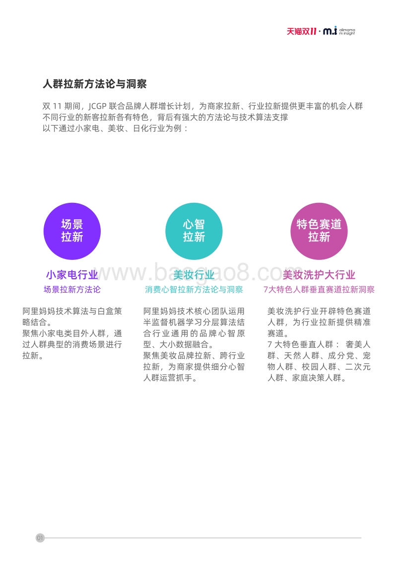双11投资指南：新客拉新机会洞察.pdf_第5页