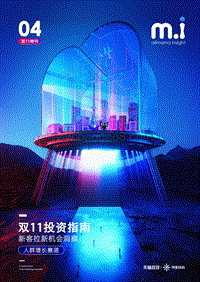 双11投资指南：新客拉新机会洞察.pdf