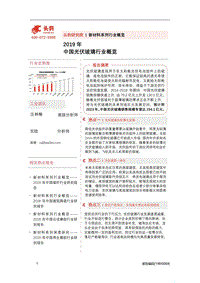 2019年中国光伏玻璃行业概览.pdf