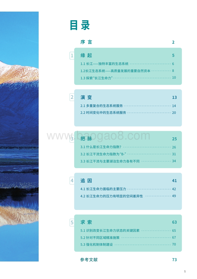 2020长江生命力报告.pdf_第5页