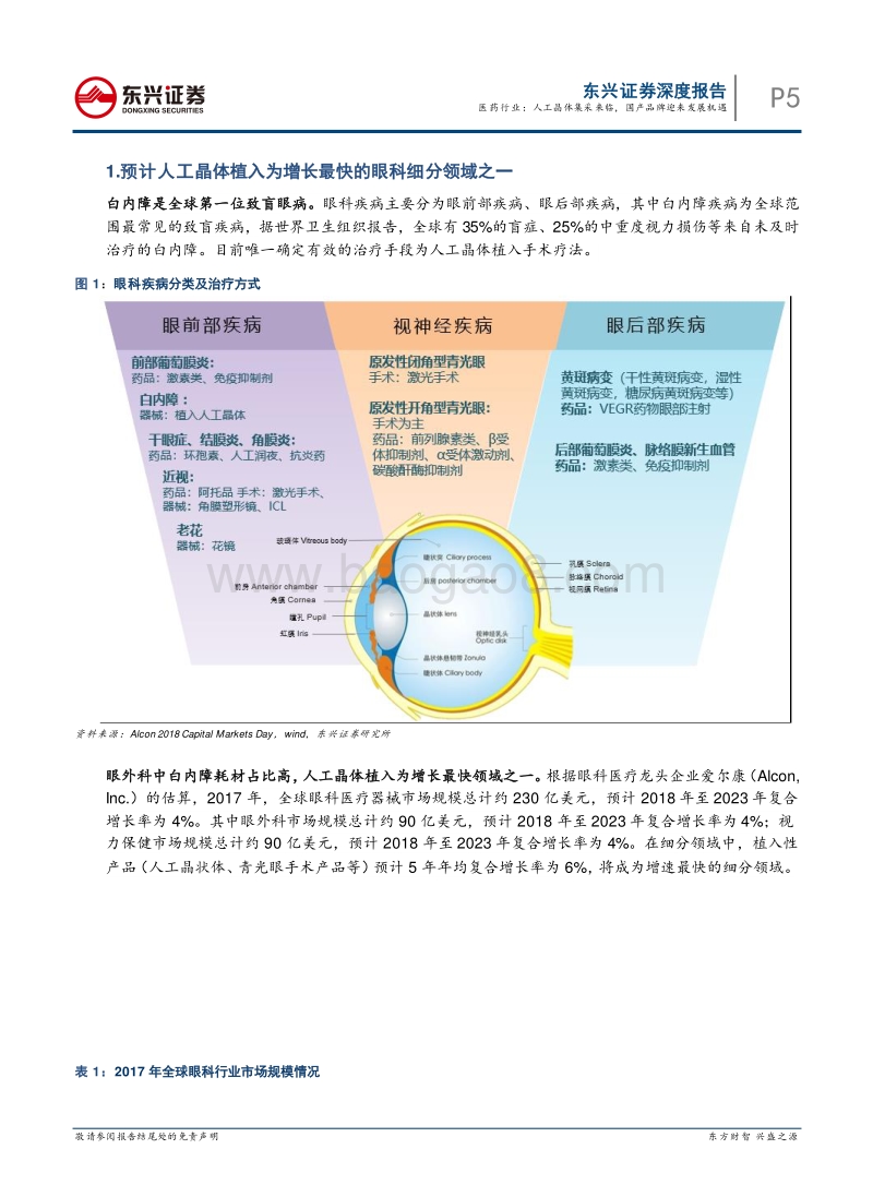 眼科行业专题报告系列之一——医药行业：人工晶体集采来临，国产品牌迎来发展机遇.pdf_第5页
