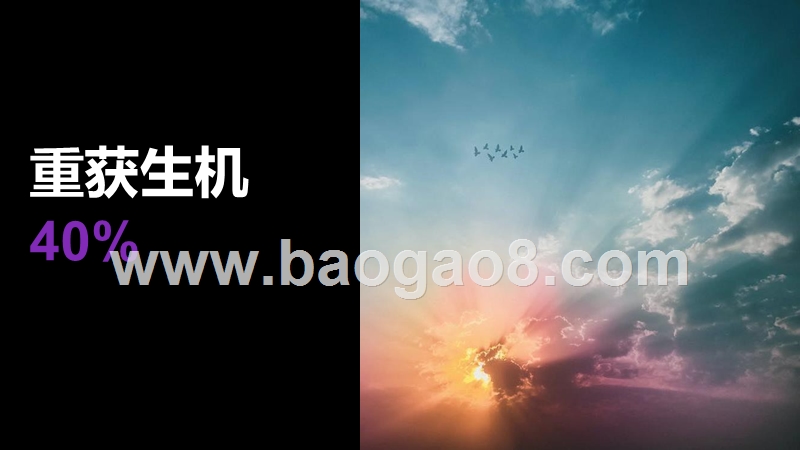 2020-2021疫情全球化背景下品牌复苏分析报告.pptx_第2页