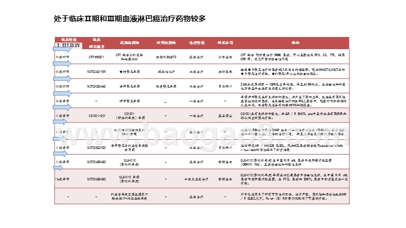 2020-2021全球血液与淋巴癌药物研发分析报告.pptx_第4页