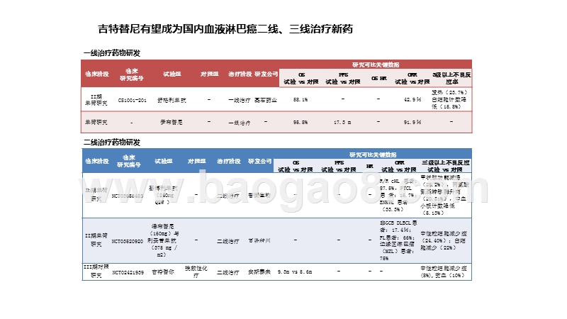 2020-2021全球血液与淋巴癌药物研发分析报告.pptx_第5页