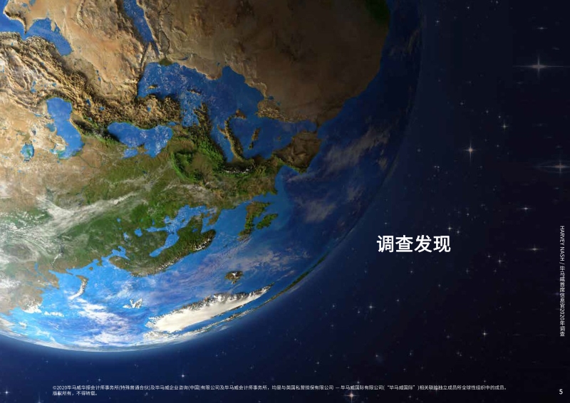 首席信息官2020年调查.pdf_第5页