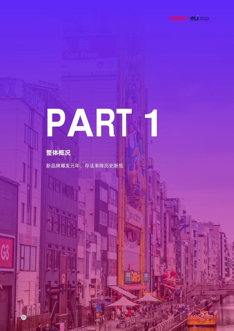 双11投资指南：新品牌营销洞察.pdf_第5页