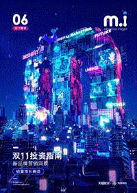 双11投资指南：新品牌营销洞察.pdf