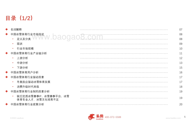 2019年中国冰雪体育行业概览.pdf_第5页