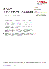 中国“双循环”战略：从盖房到造芯.pdf