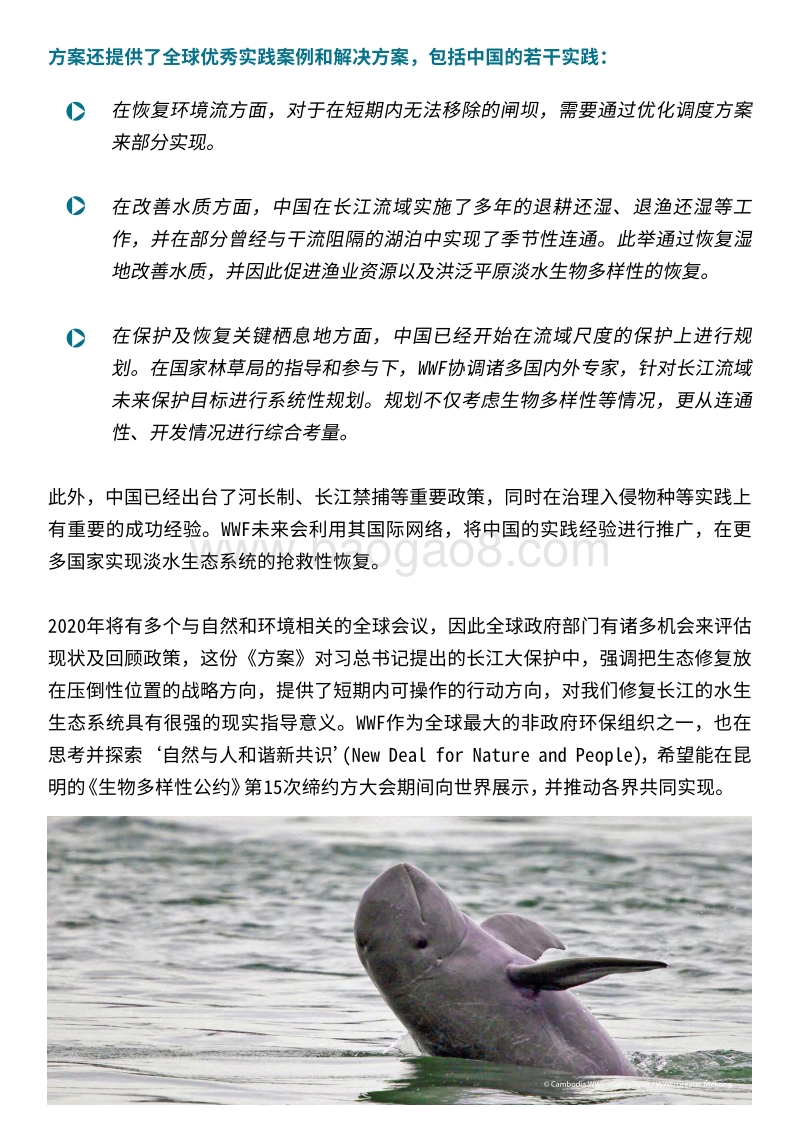 抢救水生生物多样性的紧急行动方案.pdf_第3页