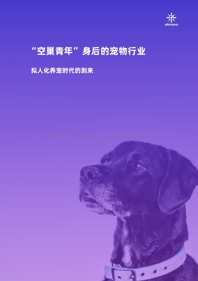 萌宠“富”养下的情感消费新声.pdf_第3页