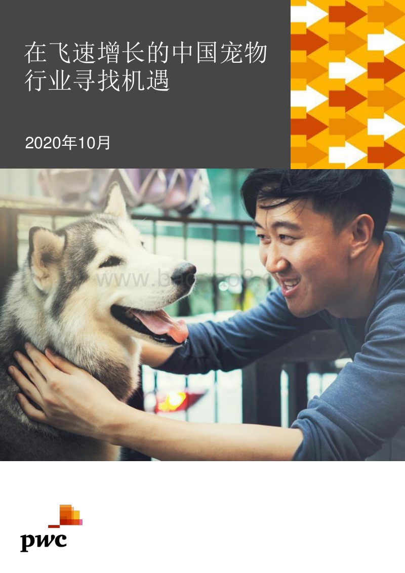 在飞速增长的中国宠物行业寻找机遇.pdf_第1页