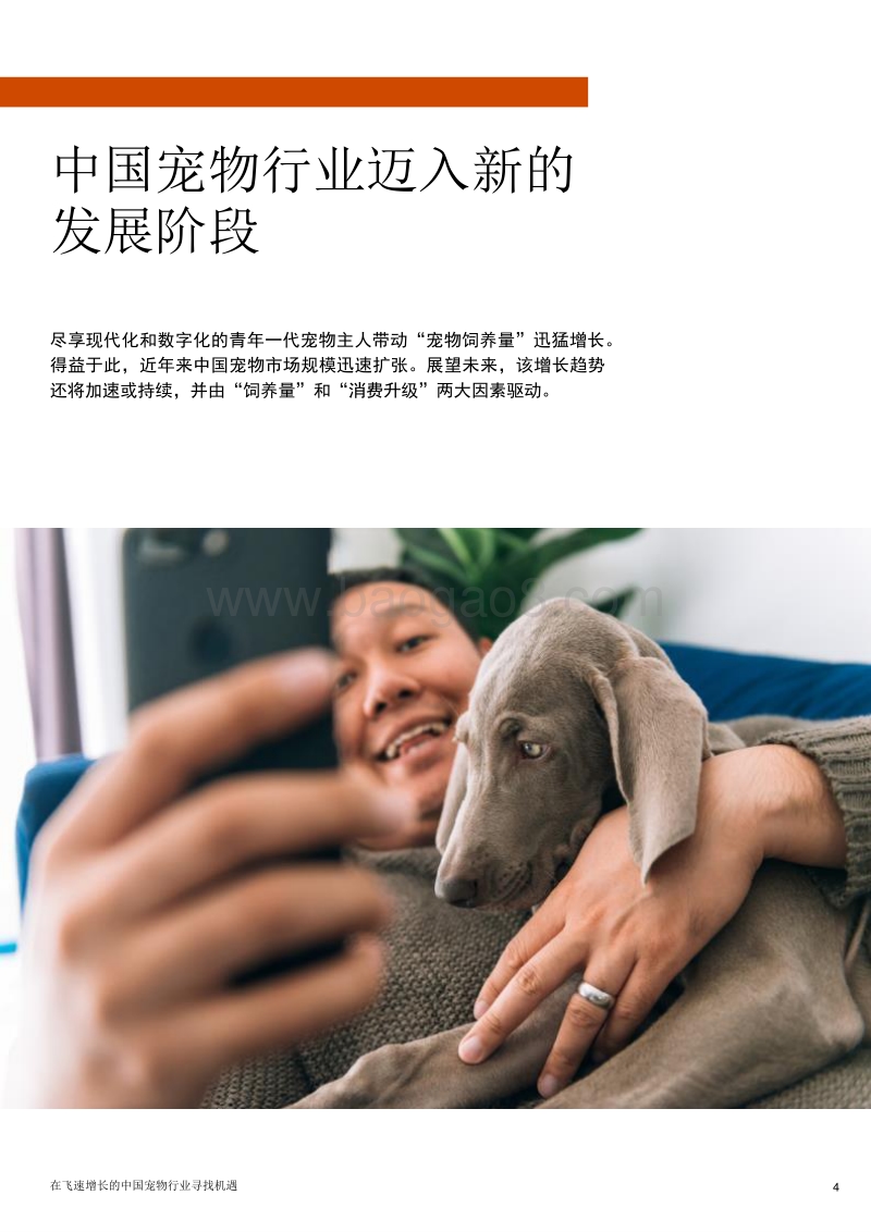 在飞速增长的中国宠物行业寻找机遇.pdf_第4页