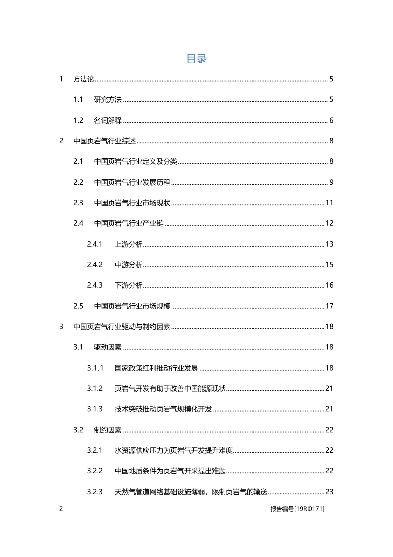 2019年中国页岩气行业概览.pdf_第2页