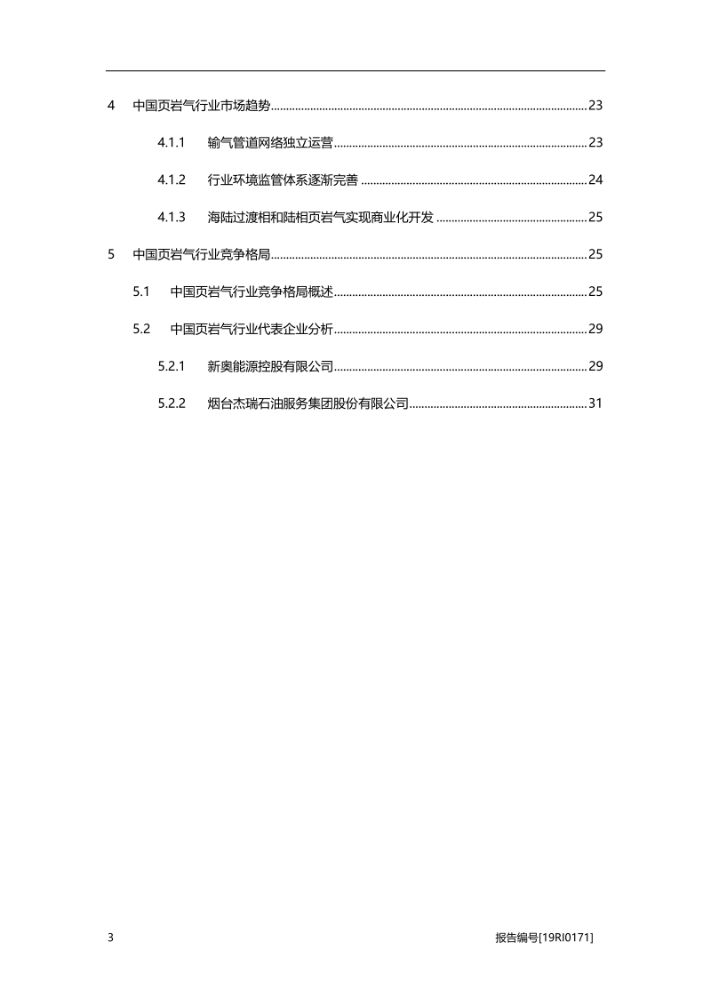 2019年中国页岩气行业概览.pdf_第3页