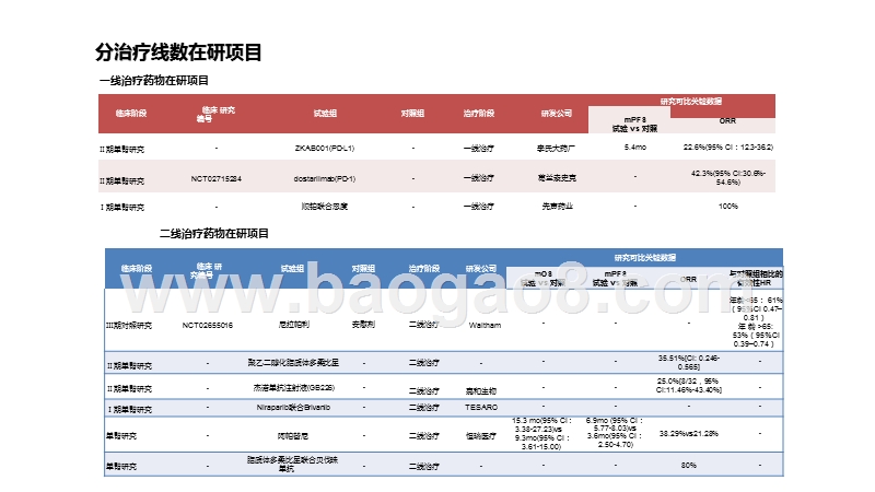 2020-2021全球妇科肿瘤药物研发分析报告.pptx_第5页