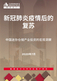 中国迷你仓储产业投资的宏观洞察.pdf