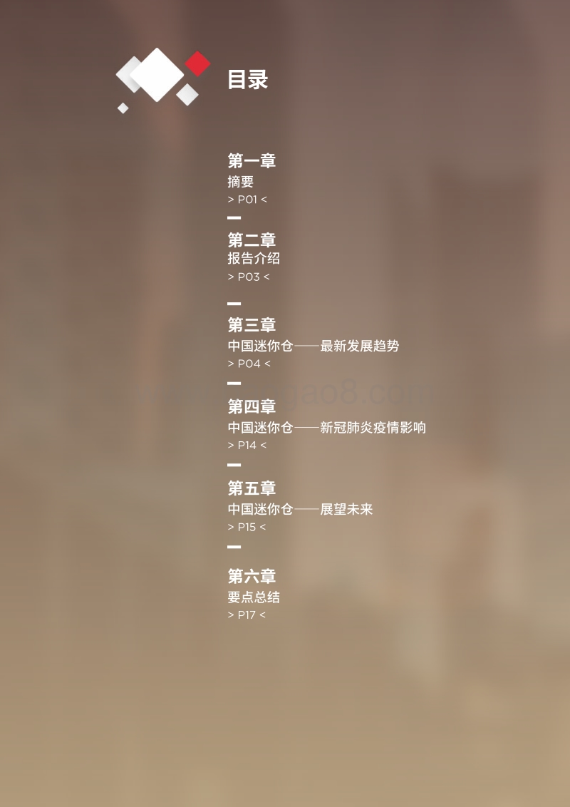 中国迷你仓储产业投资的宏观洞察.pdf_第2页